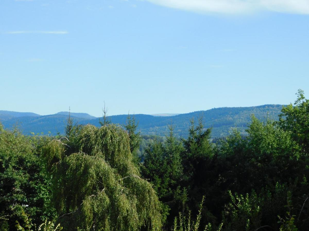 L'Amandaure Bed & Breakfast Saulcy-sur-Meurthe Luaran gambar