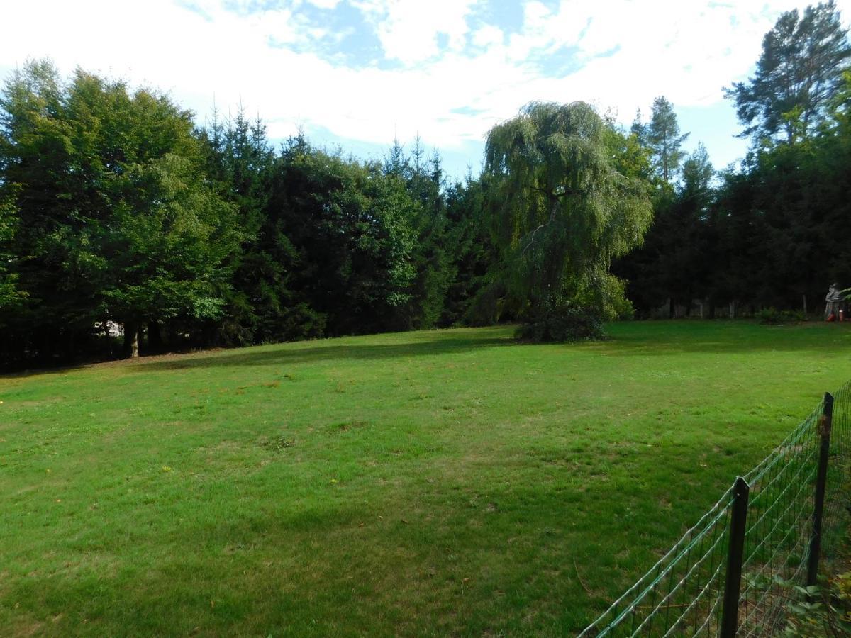 L'Amandaure Bed & Breakfast Saulcy-sur-Meurthe Luaran gambar