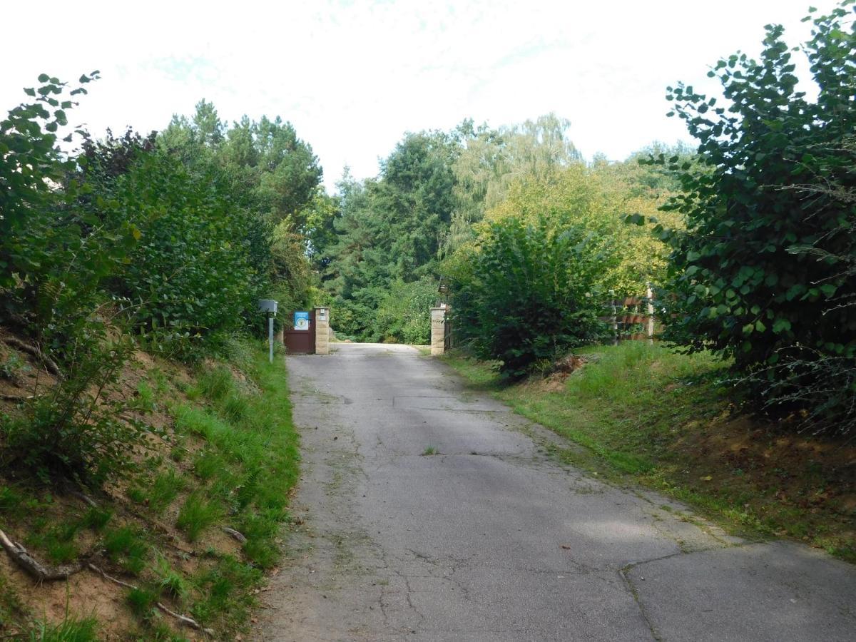 L'Amandaure Bed & Breakfast Saulcy-sur-Meurthe Luaran gambar
