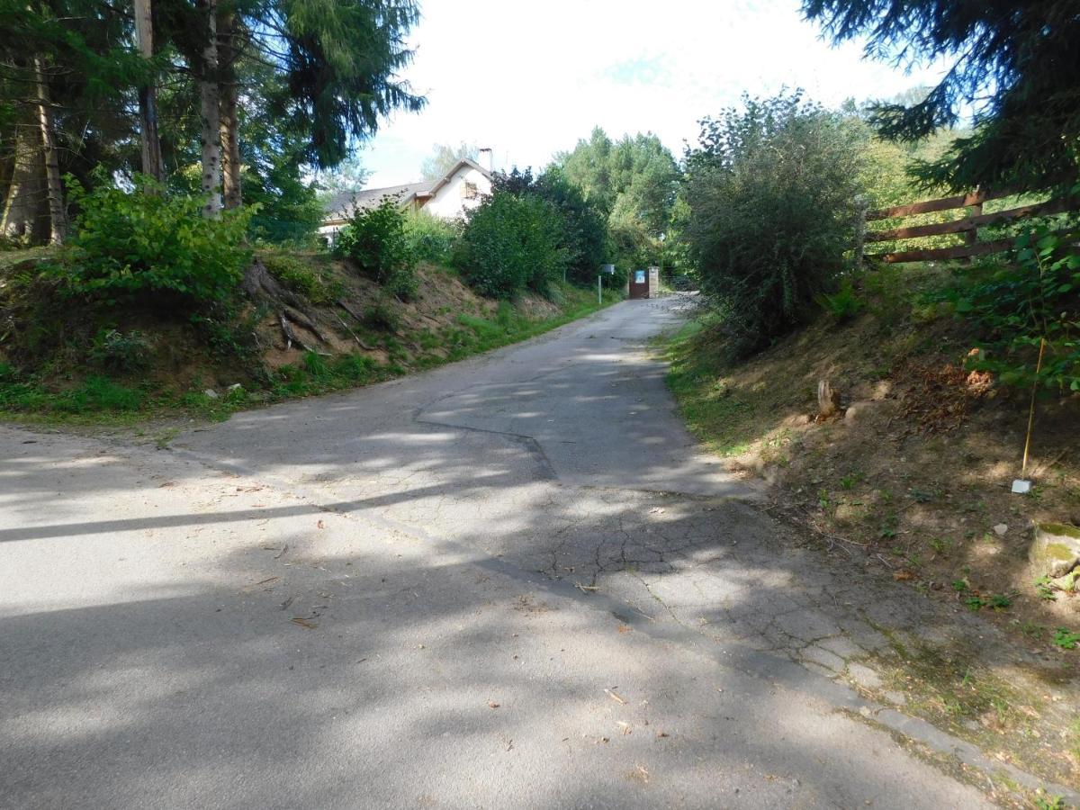 L'Amandaure Bed & Breakfast Saulcy-sur-Meurthe Luaran gambar